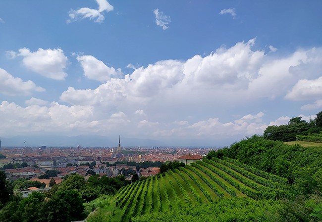 vista da villa della regina